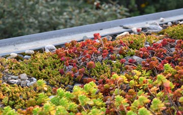 the cost of Pool Hey green roof installation