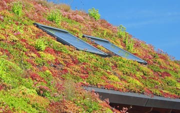 Pool Hey living roof systems