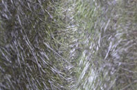 Pool Hey fibreglass roof work